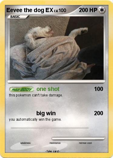Pokemon Eevee the dog EX