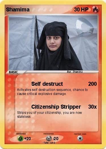 Pokemon Shamima