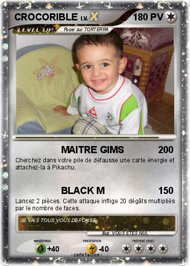 Pokemon CROCORIBLE