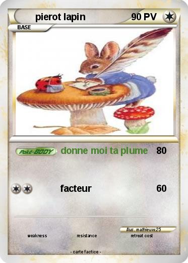 Pokemon pierot lapin
