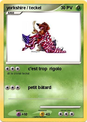 Pokemon yorkshire / teckel