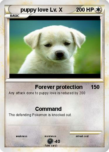 Pokemon puppy love Lv. X