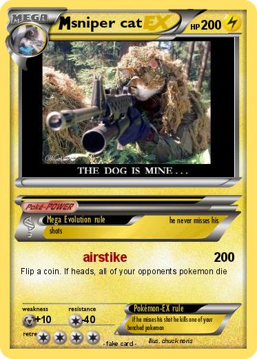 Pokemon sniper cat