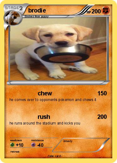 Pokemon brodie