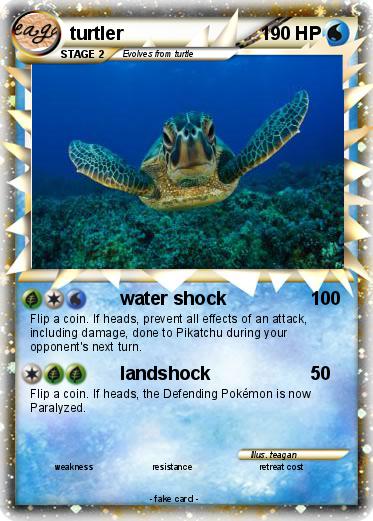 Pokemon turtler