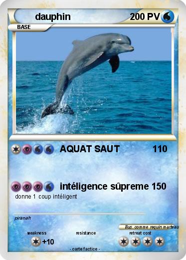 Pokemon dauphin
