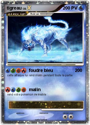 Pokemon tigreau