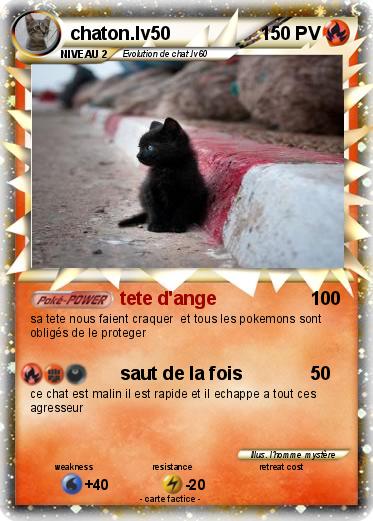 Pokemon chaton.lv50