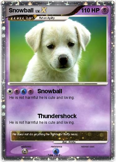 Pokemon Snowball