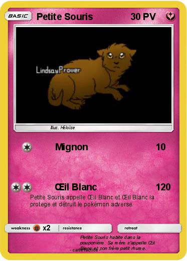 Pokemon Petite Souris