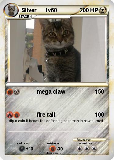 Pokemon Silver      lv60