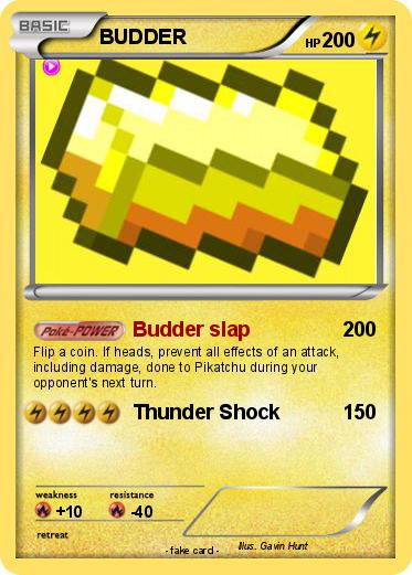 Pokemon BUDDER