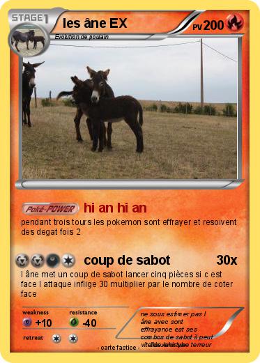 Pokemon les âne EX