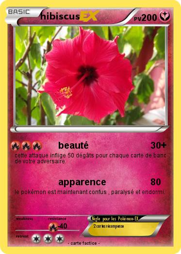 Pokemon hibiscus