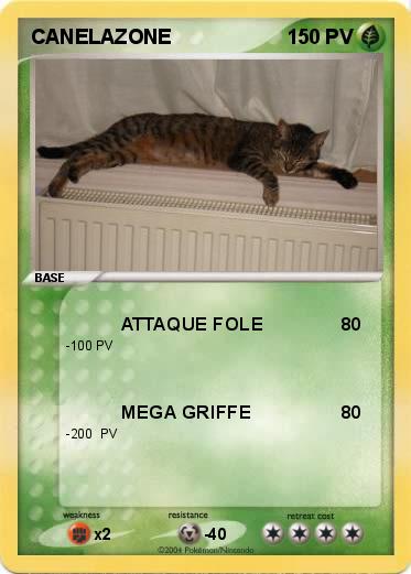 Pokemon CANELAZONE