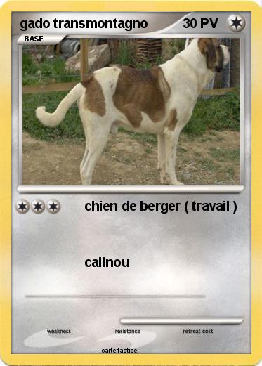 Pokemon gado transmontagno