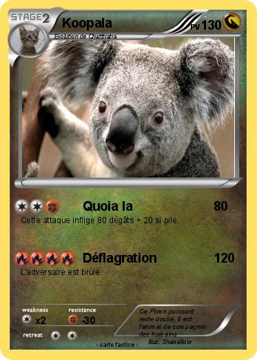 Pokemon Koopala