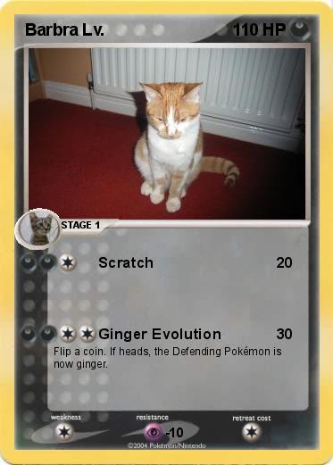 Pokemon Barbra Lv. 