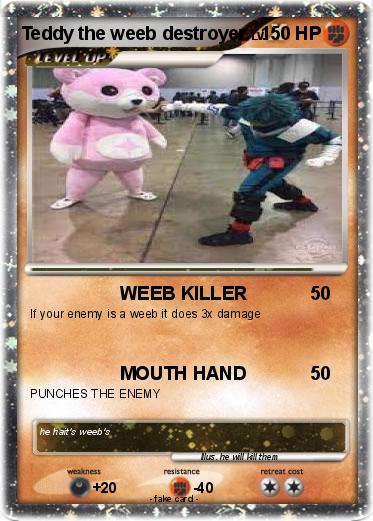 Pokemon Teddy the weeb destroyer