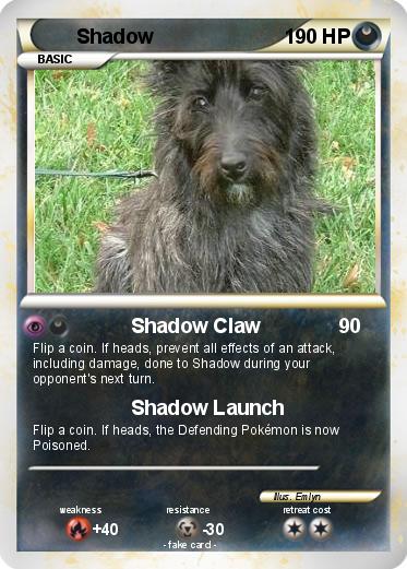 Pokemon Shadow