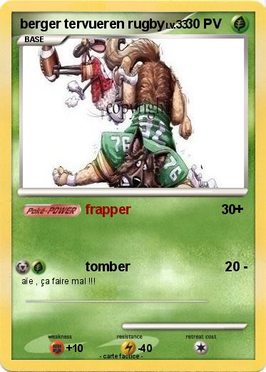 Pokemon berger tervueren rugby