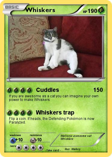 Pokemon Whiskers