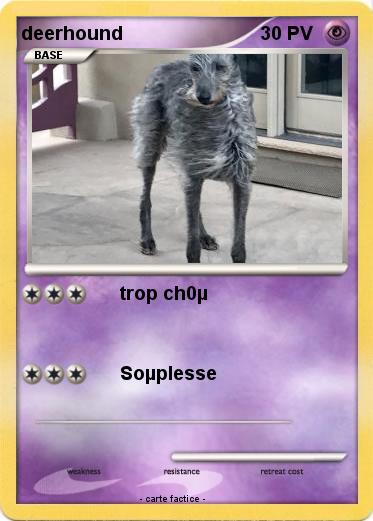 Pokemon deerhound