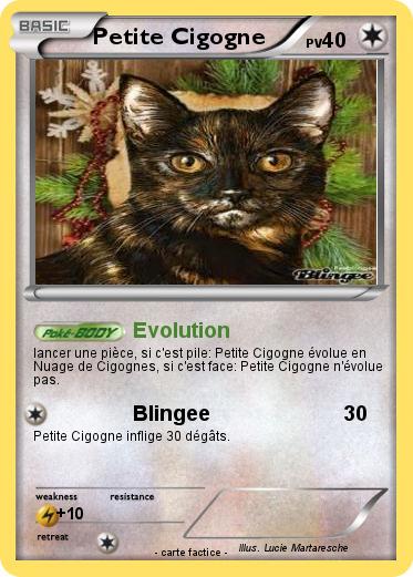 Pokemon Petite Cigogne