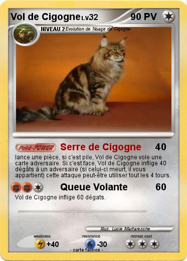 Pokemon Vol de Cigogne