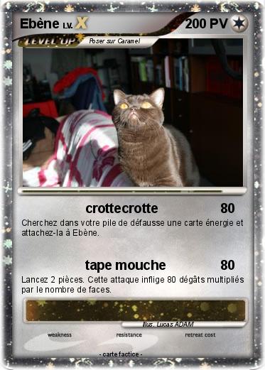 Pokemon Ebène