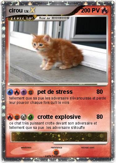 Pokemon cirou