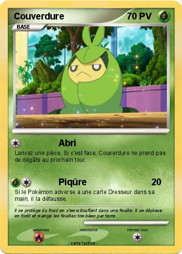 Pokemon Couverdure