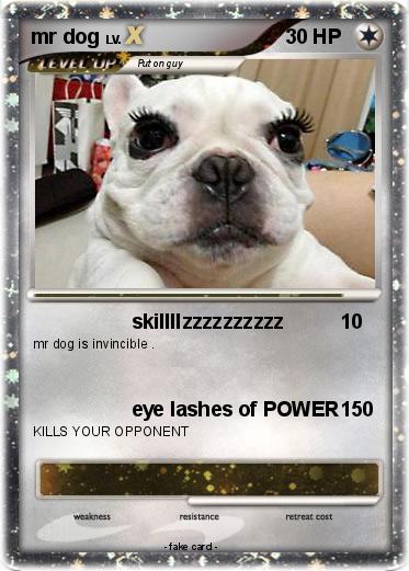 Pokemon mr dog