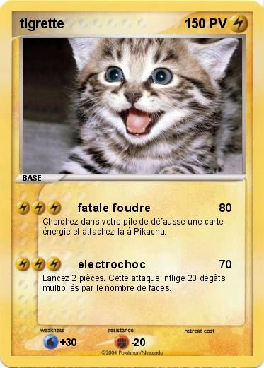 Pokemon tigrette