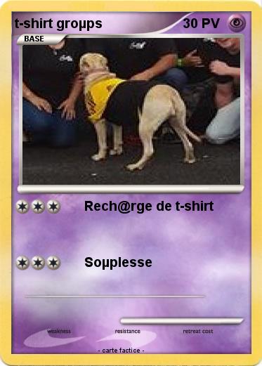 Pokemon t-shirt groµps