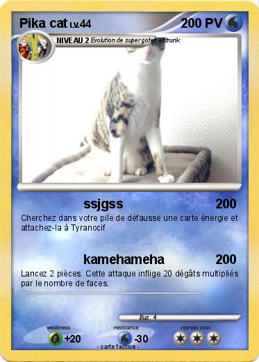Pokemon Pika cat