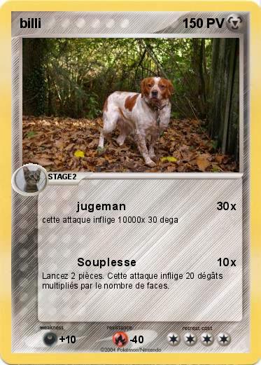 Pokemon billi