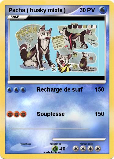 Pokemon Pacha ( husky mixte )