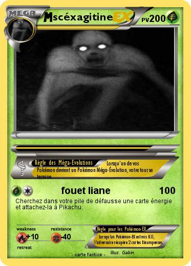 Pokemon scéxagitine