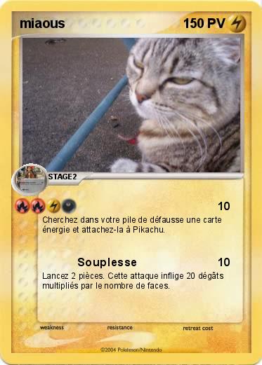 Pokemon miaous