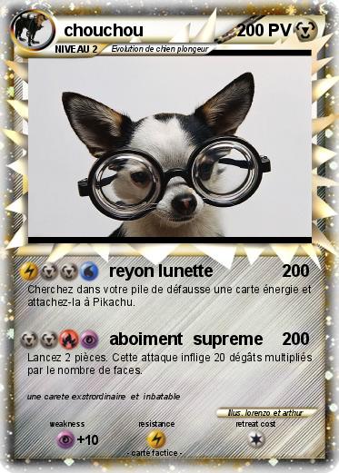 Pokemon chouchou