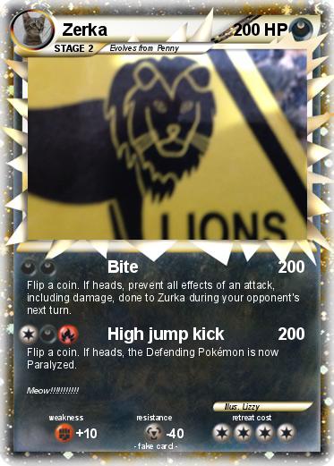 Pokemon Zerka