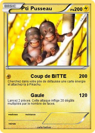Pokemon Pti Pusseau