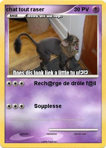 Pokemon chat tout raser
