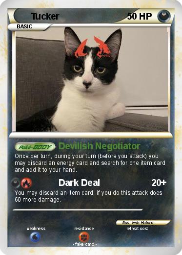 Pokemon Tucker