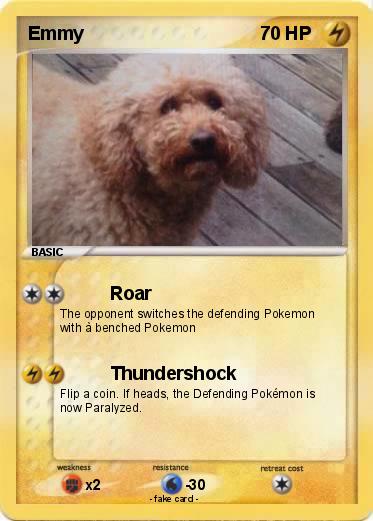 Pokemon Emmy