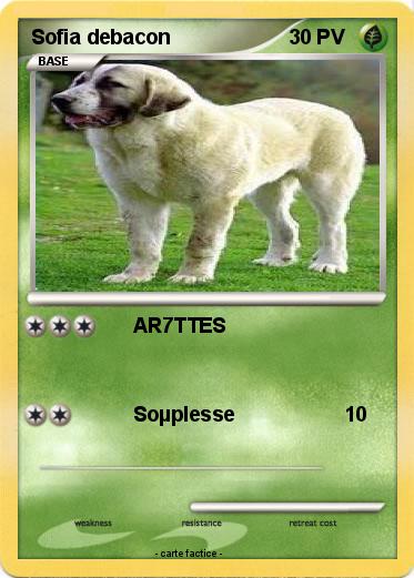 Pokemon Sofia debacon