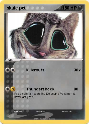 Pokemon skate pet