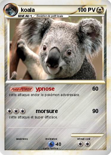Pokemon koala