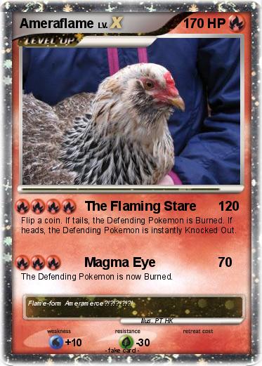 Pokemon Ameraflame